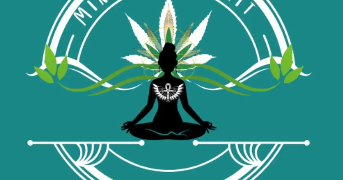 Mind Body Spirit Wellness Properties cover